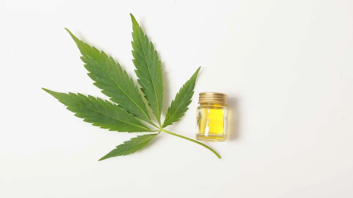 The Gains of Using CBD Oil