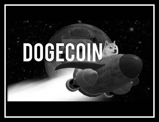 wDogecoin (WDOGE): All You Need To Know